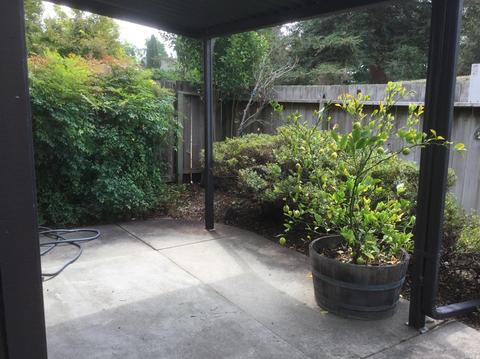 8024 Sunflower Dr, Cotati, CA 94931 photo 3