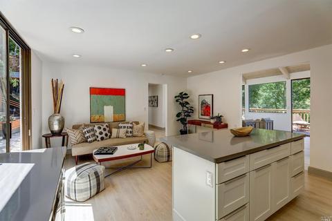 311 Carrera Dr, Mill Valley, CA 94941 photo 17