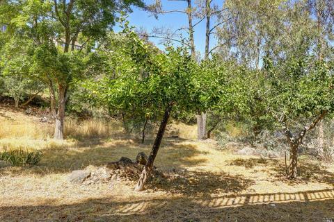 311 Carrera Dr, Mill Valley, CA 94941 photo 27