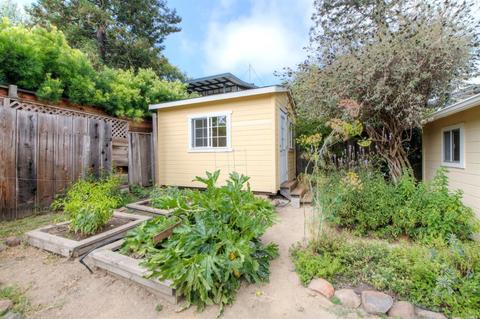 12 Shell Rd, Mill Valley, CA 94941 photo 38