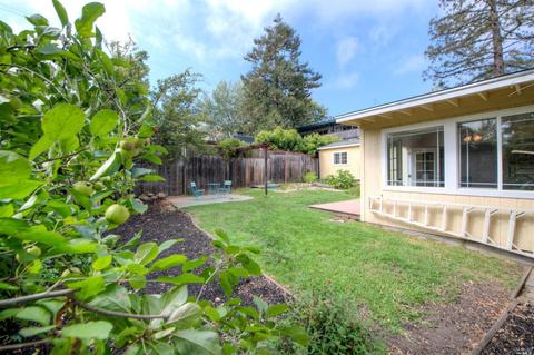 12 Shell Rd, Mill Valley, CA 94941 photo 32