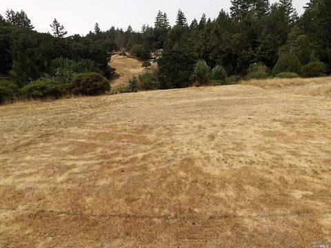 25598 Daphne Way, Willits, CA 95490 photo 1