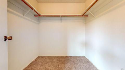 1009 Ely Blvd S, Petaluma, CA 94954 photo 17