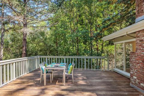 351 Melrose Ave, Mill Valley, CA 94941 photo 14