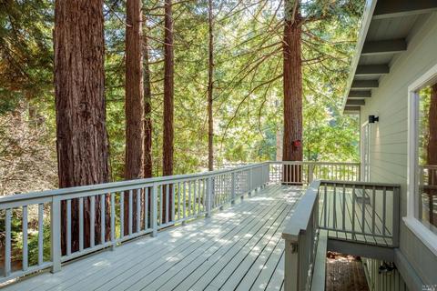 351 Melrose Ave, Mill Valley, CA 94941 photo 28