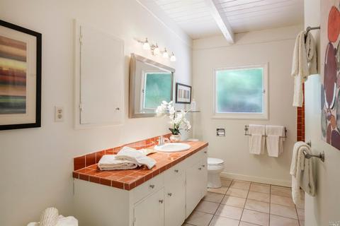 351 Melrose Ave, Mill Valley, CA 94941 photo 20