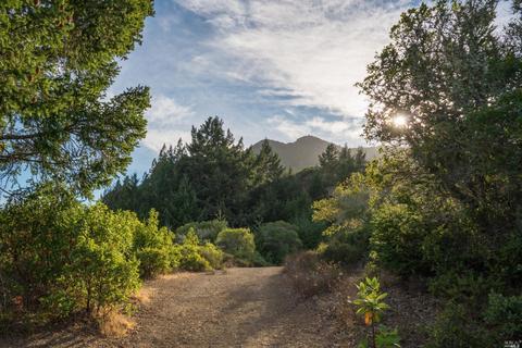 2 Coronet Way, Kentfield, CA 94904 photo 47