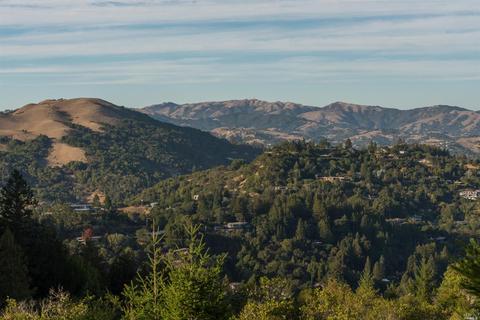 2 Coronet Way, Kentfield, CA 94904 photo 48