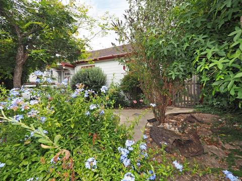 7412 Bodega Ave, Sebastopol, CA 95472 photo 29