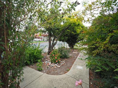 7412 Bodega Ave, Sebastopol, CA 95472 photo 5