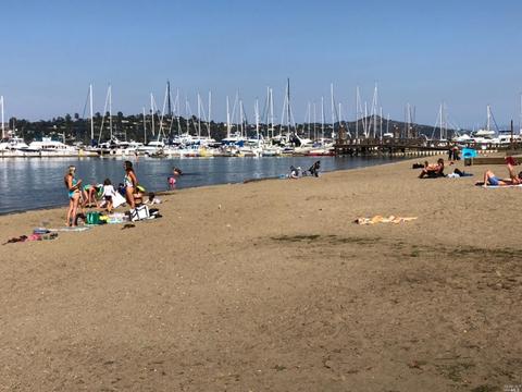 72 Marin Ave, Sausalito, CA 94965 photo 22