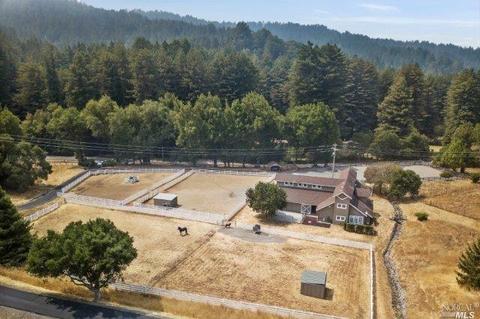 2100 Nicasio Valley Rd, Nicasio, CA 94946 photo 39