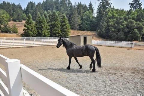 2100 Nicasio Valley Rd, Nicasio, CA 94946 photo 34