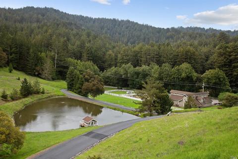 2100 Nicasio Valley Rd, Nicasio, CA 94946 photo 3