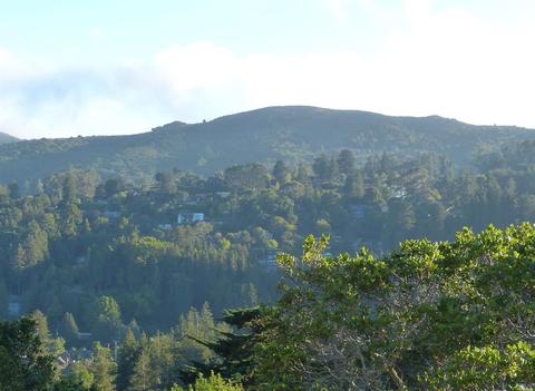 512 Hillside Ave, Mill Valley, CA 94941 photo 45