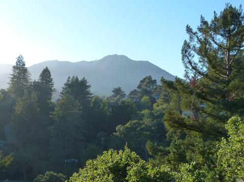 512 Hillside Ave, Mill Valley, CA 94941 photo 46