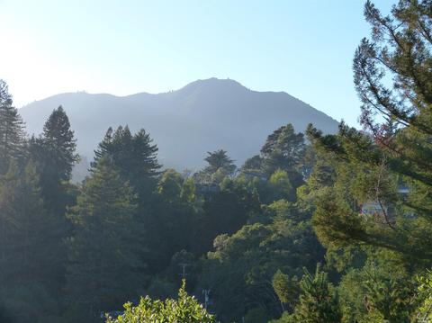 512 Hillside Ave, Mill Valley, CA 94941 photo 42