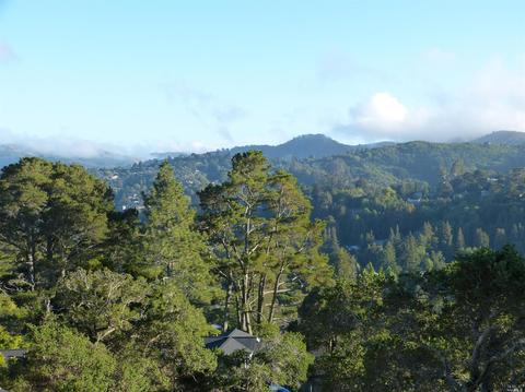 512 Hillside Ave, Mill Valley, CA 94941 photo 44