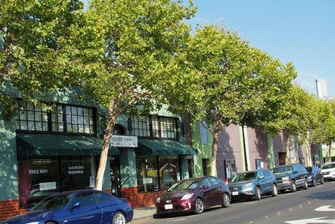 22 Webster St, Petaluma, CA 94952 photo 21