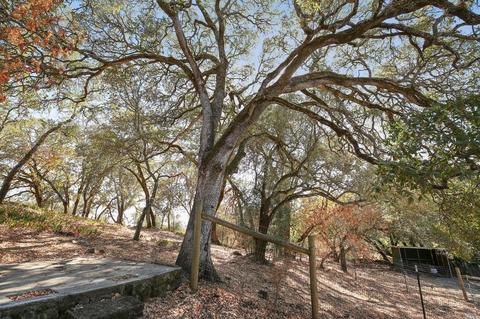 45 Cavedale Rd, Sonoma, CA 95476 photo 44