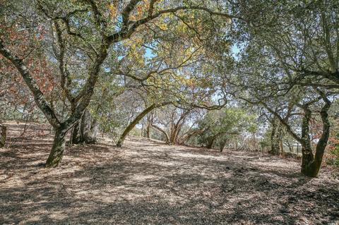 45 Cavedale Rd, Sonoma, CA 95476 photo 41