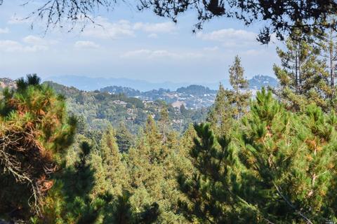 1 Wainwright Pl, Mill Valley, CA 94941 photo 17