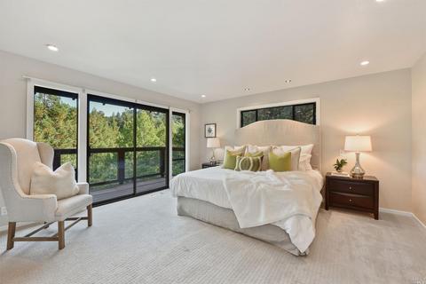 1 Wainwright Pl, Mill Valley, CA 94941 photo 8