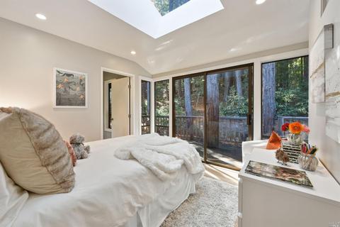 1 Wainwright Pl, Mill Valley, CA 94941 photo 10