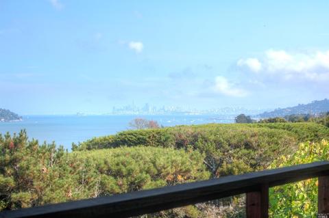 229 Reed Blvd, Mill Valley, CA 94941 photo 22