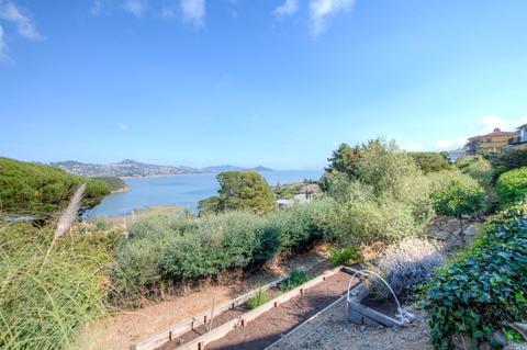 229 Reed Blvd, Mill Valley, CA 94941 photo 40