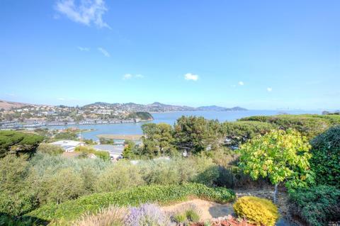229 Reed Blvd, Mill Valley, CA 94941 photo 36