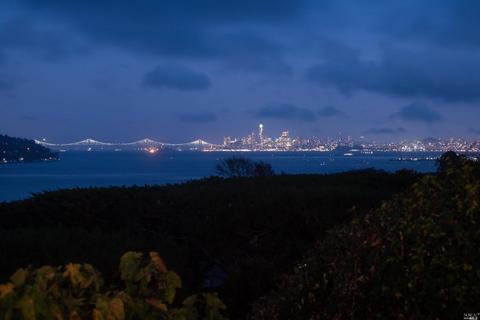 229 Reed Blvd, Mill Valley, CA 94941 photo 49