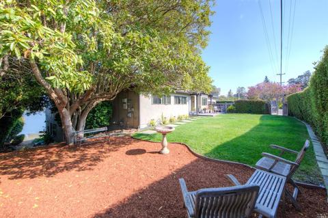 229 Reed Blvd, Mill Valley, CA 94941 photo 42