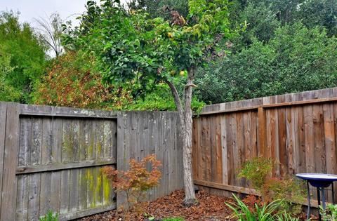 555 Gregory Cir, Sonoma, CA 95476 photo 33
