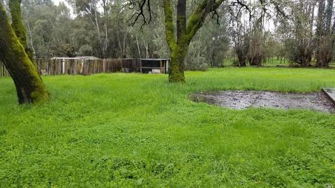 10105 Herb Rd, Windsor, CA 95492 photo 3