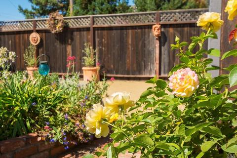 810 Eucalyptus Ave, Novato, CA 94947 photo 30
