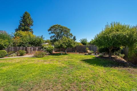 810 Eucalyptus Ave, Novato, CA 94947 photo 25