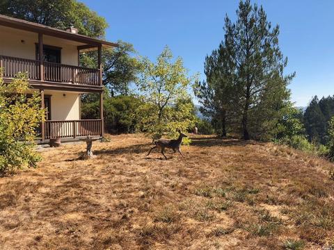 1391 Buckhorn Rd, Willits, CA 95490 photo 24