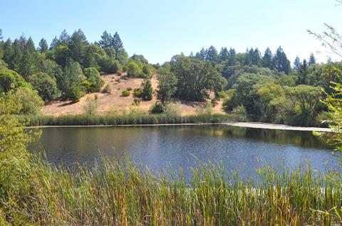 1391 Buckhorn Rd, Willits, CA 95490 photo 2