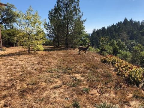1391 Buckhorn Rd, Willits, CA 95490 photo 25