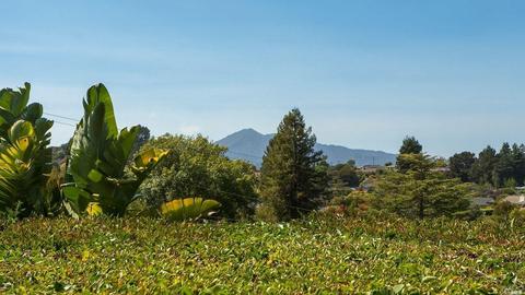 19 Dunfries Ter, San Rafael, CA 94901 photo 29