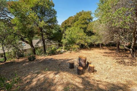 19 Dunfries Ter, San Rafael, CA 94901 photo 28