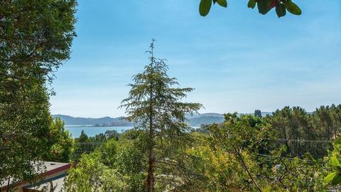 19 Dunfries Ter, San Rafael, CA 94901 photo 30