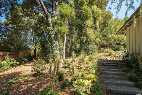 19 Dunfries Ter, San Rafael, CA 94901 photo 27