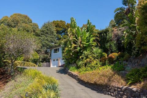 19 Dunfries Ter, San Rafael, CA 94901 photo 32