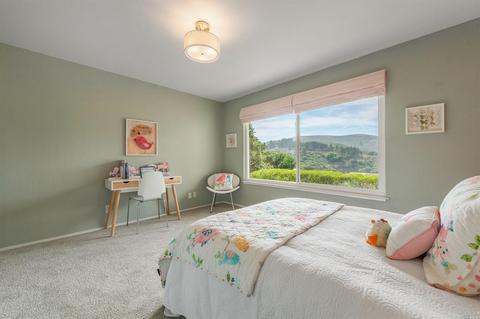 381 Durant Way, Mill Valley, CA 94941 photo 25