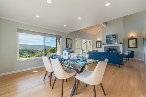 381 Durant Way, Mill Valley, CA 94941 photo 13