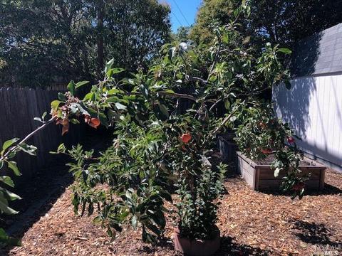 919 Harding St, Fairfield, CA 94533 photo 21