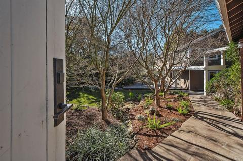 427 Summit Ave, Mill Valley, CA 94941 photo 3