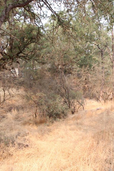 3711 Johnson Ave, Clearlake, CA 95422 photo 3